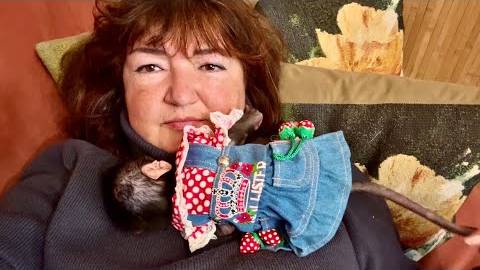 Мы с Анфисой ложимся спать, что-то я сильно красивая, хейтеры опять скажут что это фильтры😂😂😂 смотреть онлайн