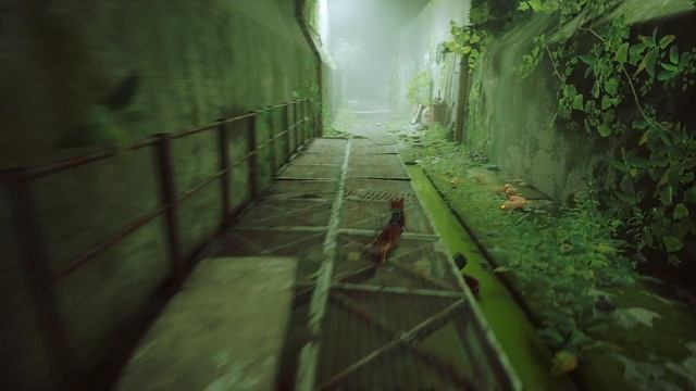 Stray #4 Прохождение без комментариев #gaming #games #nikitamyplay #игры