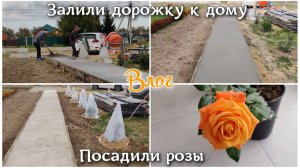 #143 ВЛОГ. ОБУСТРОЙСТВО И ЖИЗНЬ В НОВОМ ДОМЕ 🏠 Залили дорожку к дому. Посадили розы 🌹