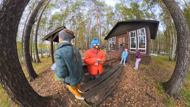 Радио квест