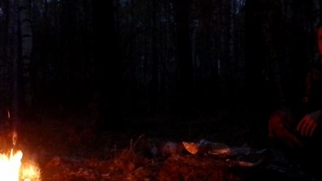 Деревенские приколы. День Рождения мамы  11. 10. 2014   (Сысоевский лес) 1 серия