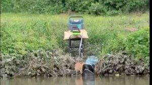 Воры на рыбалке.