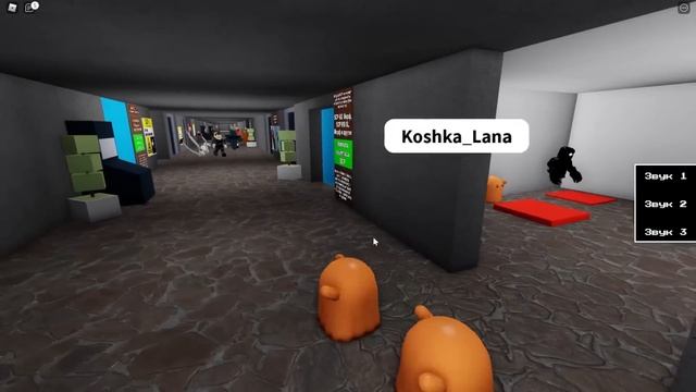 ЭКСКУРСИЯ ПО ФОНДУ СЦП ДЛЯ ЛАНЫ