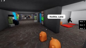 ЭКСКУРСИЯ ПО ФОНДУ СЦП ДЛЯ ЛАНЫ