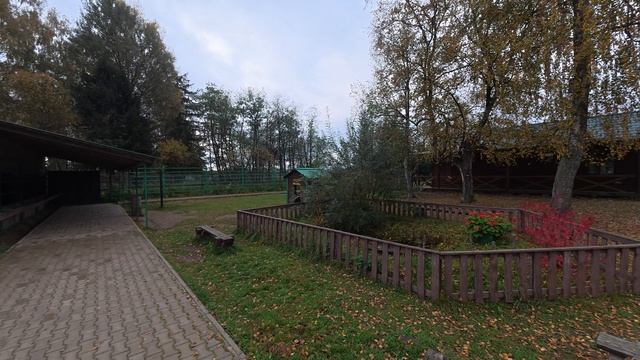 Путешествие по золотому кольцу. смотреть онлайн