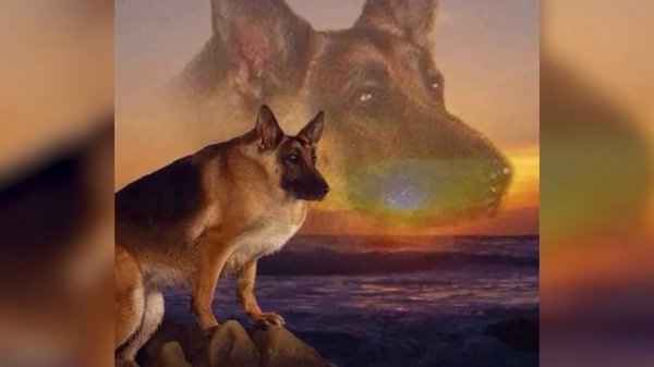 ДЕЛАЮ СКИН КОШМАРНОГО КОТА-ДРЕМОТА!