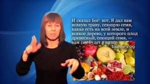 Одна и семь пар. Чистые и нечистые животные.