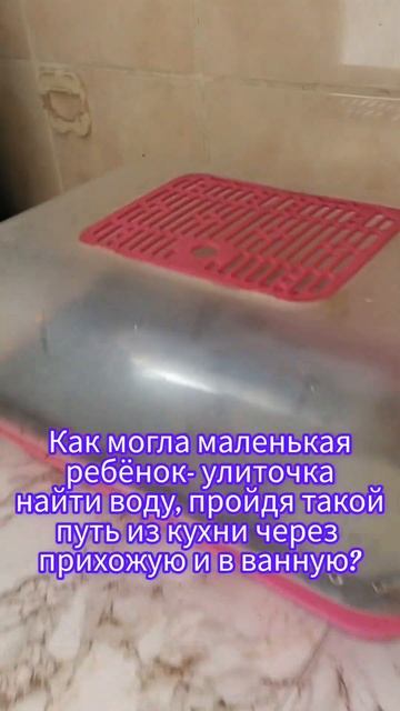 Необъяснимо но факт.Анохина Светлана смотреть онлайн