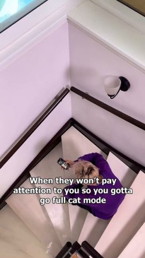 Включаем кошачий режим