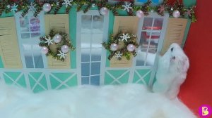 ХОМЯЧКИ в ГОСТЯХ у ДЕДА МОРОЗА/ НОВОГОДНЕЕ ЧУДО для ВИКИ и ВИЛЛИ