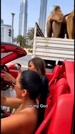 Не беспокойтесь, все натуральное, почти домашнее....