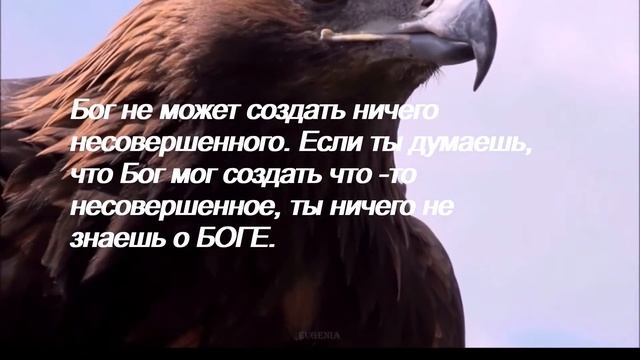 Соприкоснуться с совершенством.Беседы с Богом. Нил Уолш./Анохина С.Г. смотреть онлайн