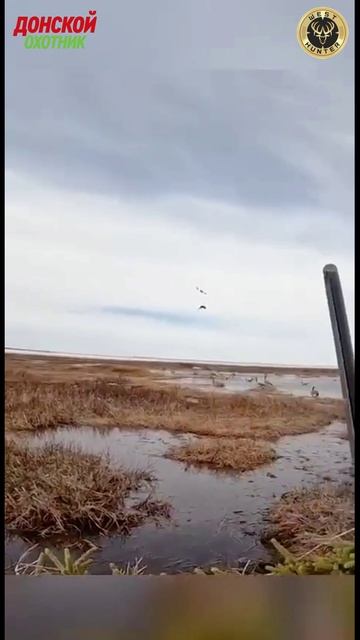 Охота бывает разной . Удачная и нет смотреть онлайн