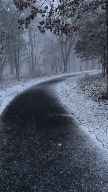 эстетика дорога