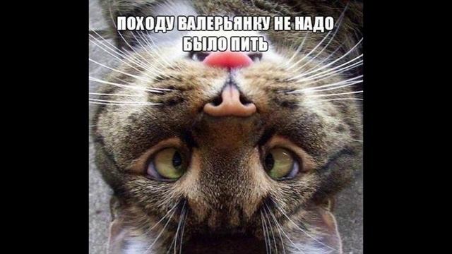 Разговоры с коллекторами 98 смотреть онлайн