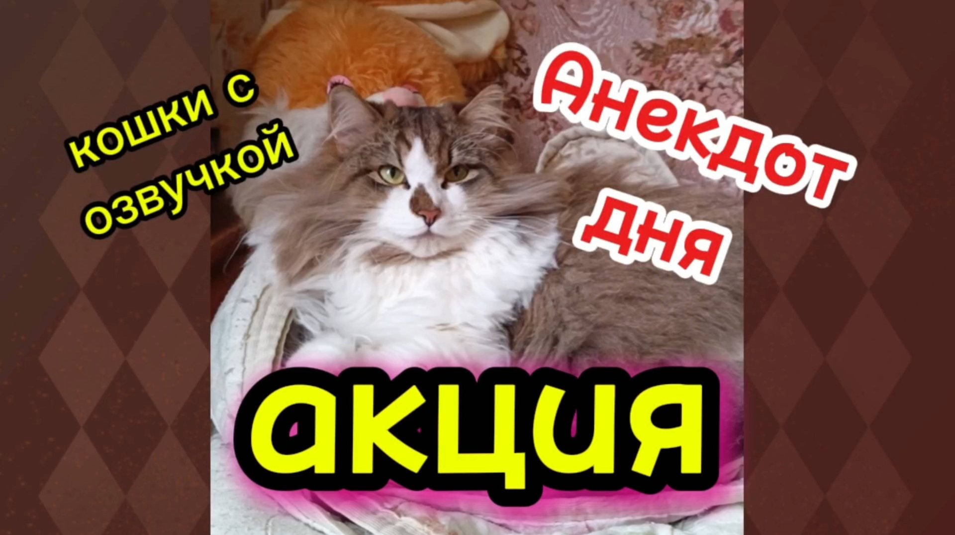 Кошки с озвучкой. смотреть онлайн