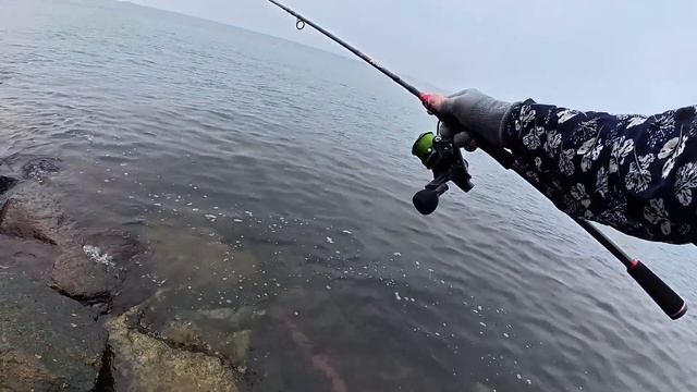 Ловлю хищников на море! #낚시 #рыбалка #fishing #carpfishing #кино