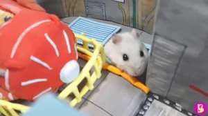 ХОМЯЧКИ в АМОНГ АС** КТО ПРЕДАТЕЛЬ?