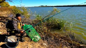 СУПЕР СНАСТЬ ПРОТИВ  КАРАСЯ и ТАРАНИ! Рыбалка в Астрахани 2025! РЕЗУЛЬТАТ УДИВИЛ!