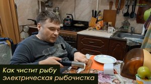 Как чистит рыбу электрическая рыбочистка