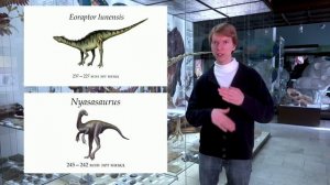 Палеонтология. Как появились динозавры. Ярослав Попов