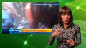 Аргентина: туристы замучили дельфинёнка.