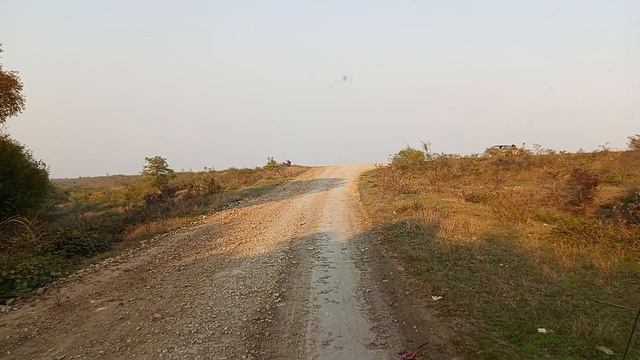 выезд на дамбу смотреть онлайн