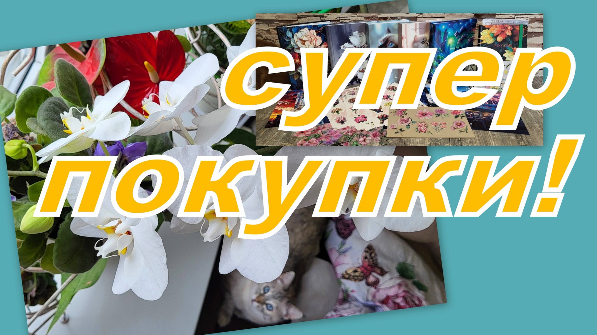 БОЛТАЛКА: ПОКУПКИ С ВАЙЛДБЕРРИЗ, ЗАЧЕМ МНЕ ОНИ И ЧТО С ЭТИМ ДЕЛАЮ... смотреть онлайн