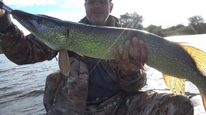 Равномерный Джиг Ловит Зачетных Щук! Рыбалка на Спиннинг в Октябре2025!