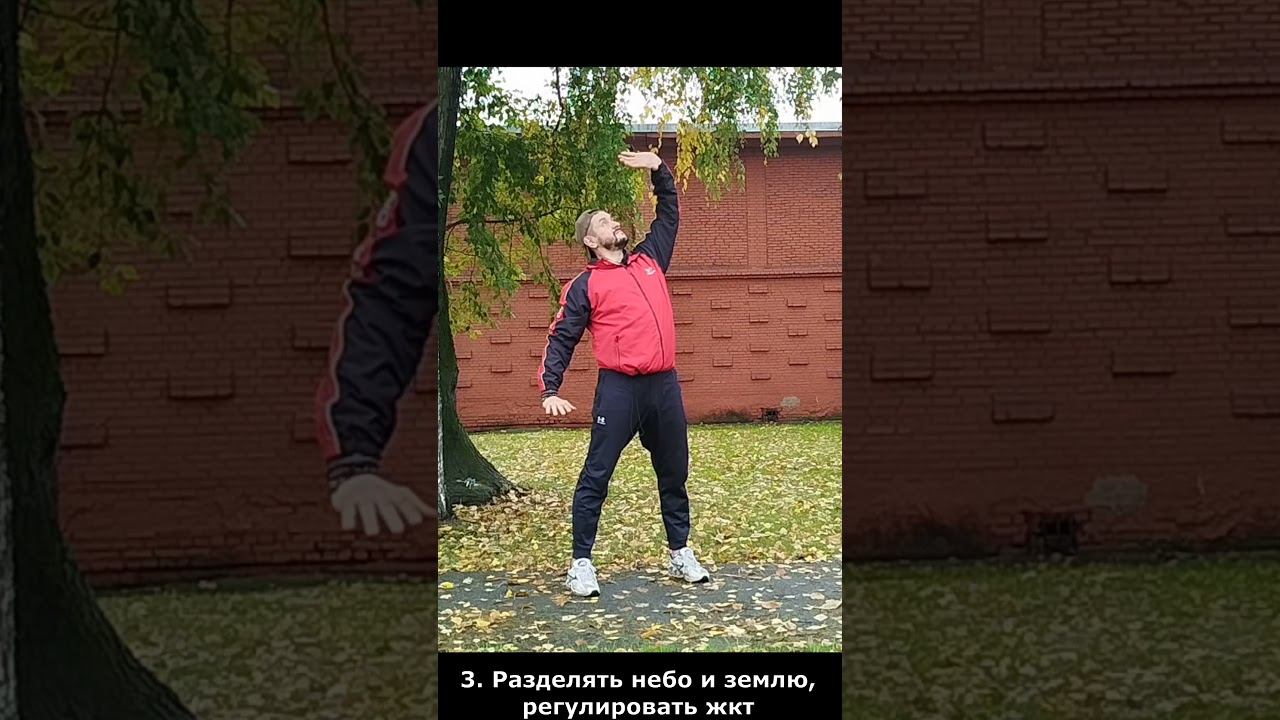 Разделять небо и землю, регулировать жкт