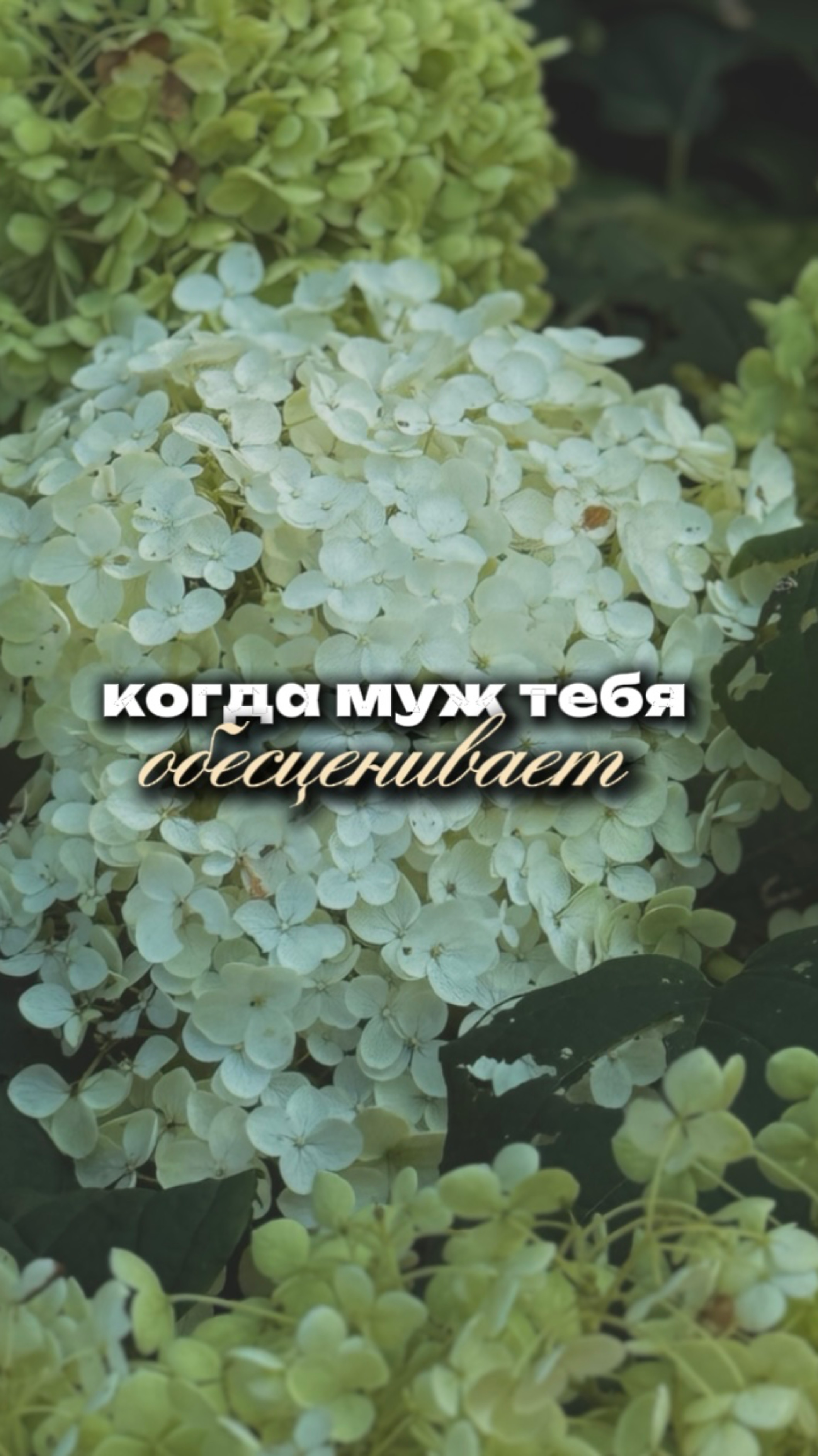 Когда тебя обесценивает муж