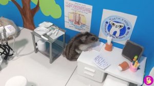 ХОМЯЧКИ У ЗУБНОГО ВРАЧА/ МИНИ СТОМАТОЛОГИЯ