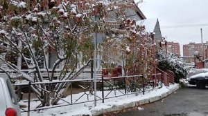 Город в снегу. Новосибирск сегодня.   Снегопад в Новосибирске