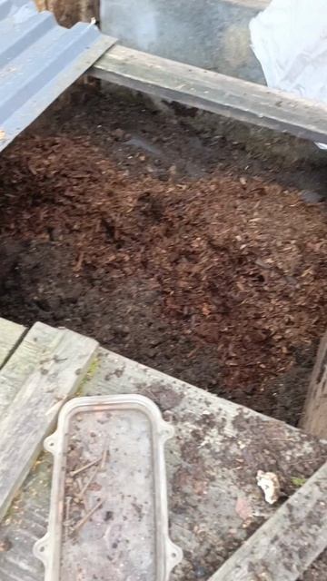 Готовим грядки к новому сезону