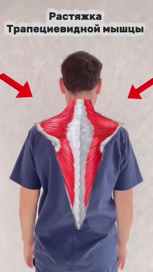 Растяжка трапециевидной мышцы .