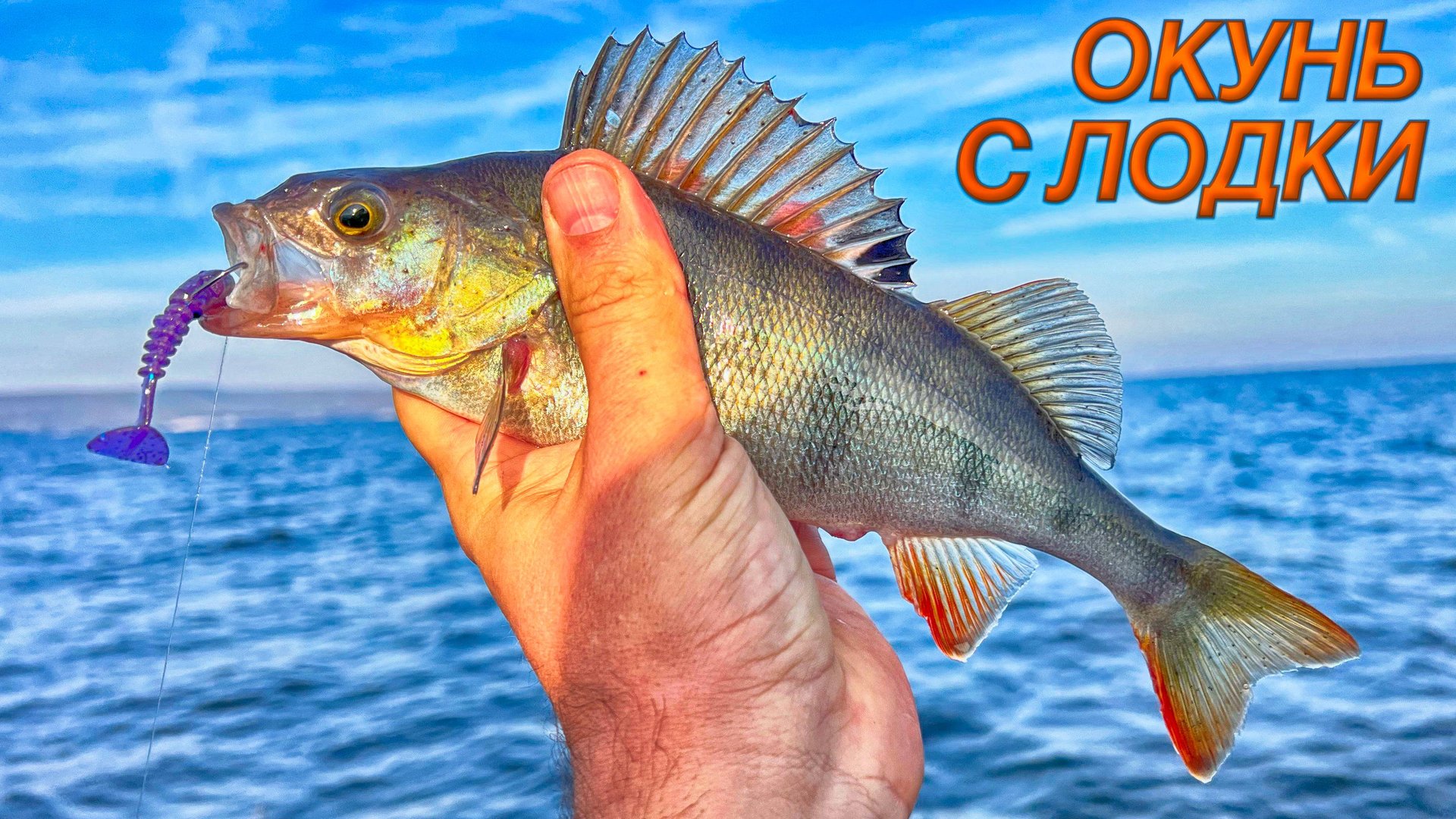 Как я ловил рыбу этим утром с лодки?!!! Рыбалка на окуня