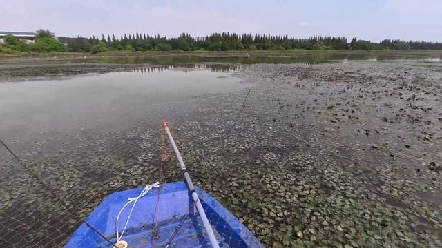 Осенний сазан на рогатку #рыбалка #рыбалканафидер #낚시 #fishing #carpfishing #automobile