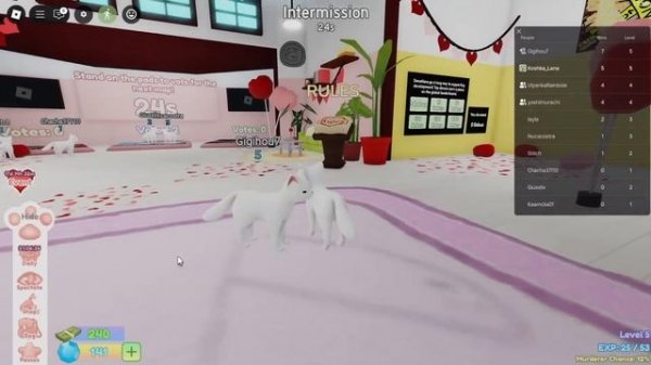 КОШАЧИЙ МЁРДЕР ОБНОВИЛСЯ! Roblox Cat Murder Mystery