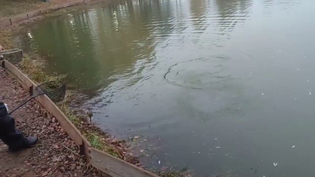 WhatsApp Video 2025-10-07 at 10.20.07 смотреть онлайн