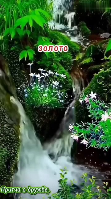 Притча о дружбе. смотреть онлайн