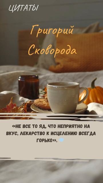 Цитаты 3.681 смотреть онлайн