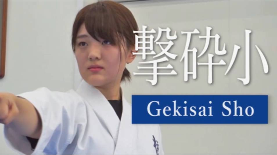Гекисай Шо - Ката Карате Кёкусинкай (Gekisai Sho - 撃破小)v.3 смотреть онлайн