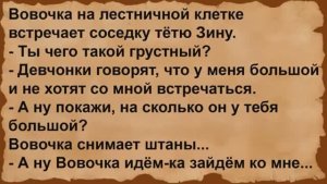 Про Вовочку и соседку тётю Зину. Сборник анекдотов