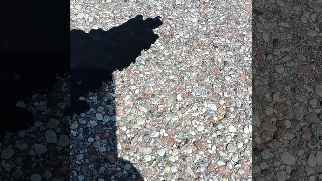 угадайте что это смотреть онлайн