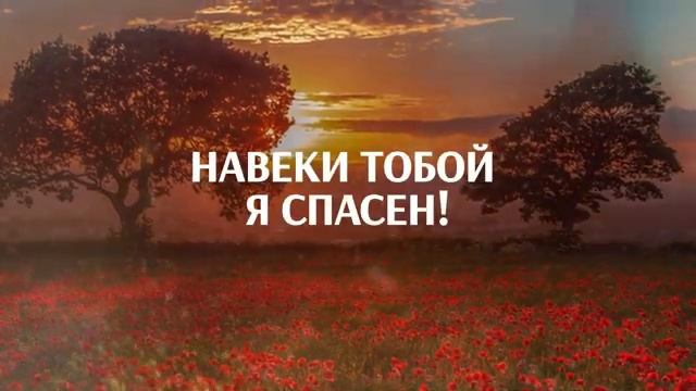 Живем в этом мире надеждой смотреть онлайн