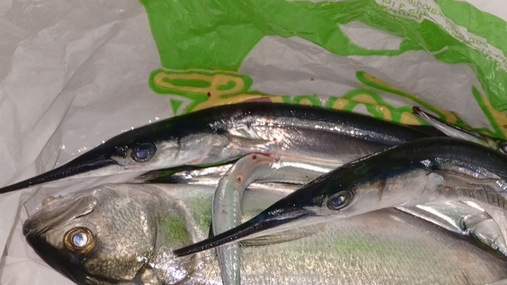 Как ловить Саргана на пилькер в Чёрном море.Рыбалка в Крыму Ялта.