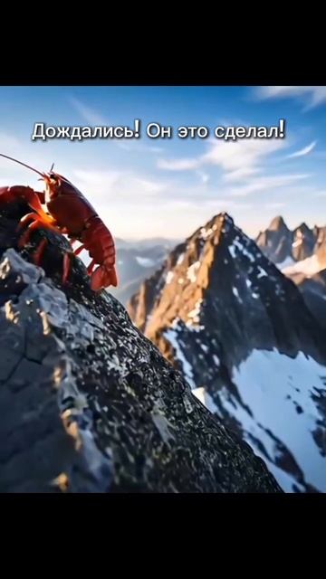 обучение по нейросетям смотреть онлайн