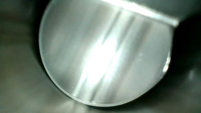 Лось 308 - осмотр бороскопом