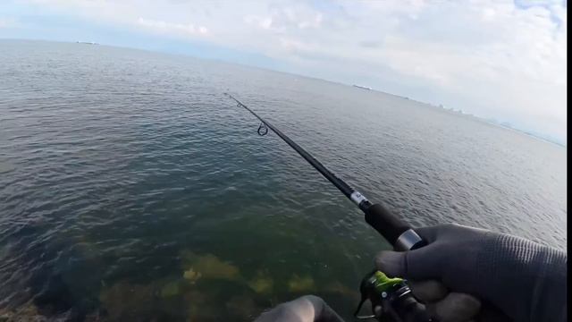 Моя первая МАКРЕЛЬ, РЫБАЛКА НА МОРЕ Южная Корея.#рыбалка #рыбалканафидер #fishing #낚시 #кино