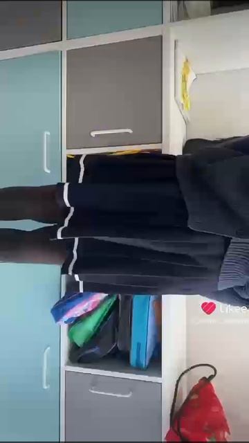 Принесли в школу игрушек